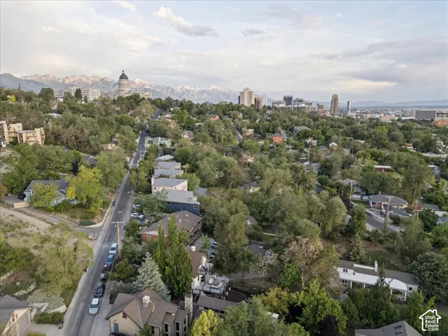 Hillside residential area with mature tree canopy, urban skyline, distant mountains, and visible street infrastucture
