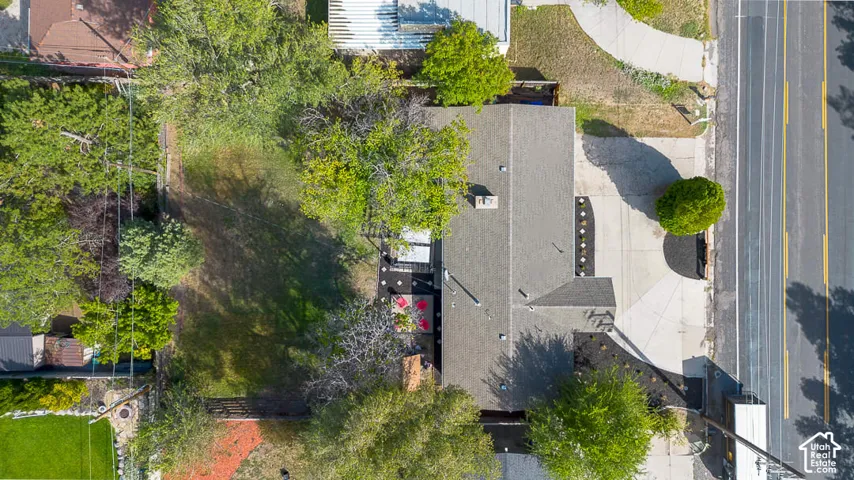 Expansive lot featuring mature trees, a private driveway, and paved street access