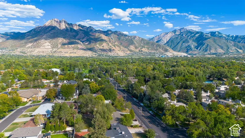 Mountain backdrop with extensive treed areas