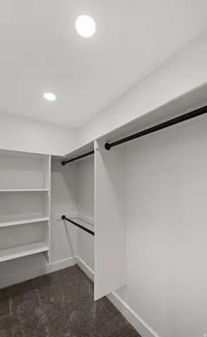 Integrated shelving system, multiple hanging rods, recessed ceiling lighting, and carpeted flooring