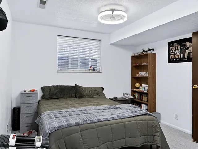 Recessed window with blinds, ceiling-mounted light fixture, carpeting, wood-finish shelving unit, and a solid door with a brass-finish knob