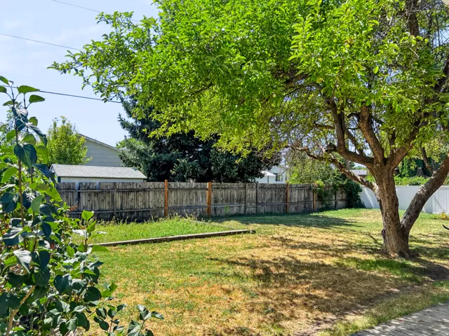 Expansive backyard featuring a large mature tree, wood fencing, and a separate storage shed