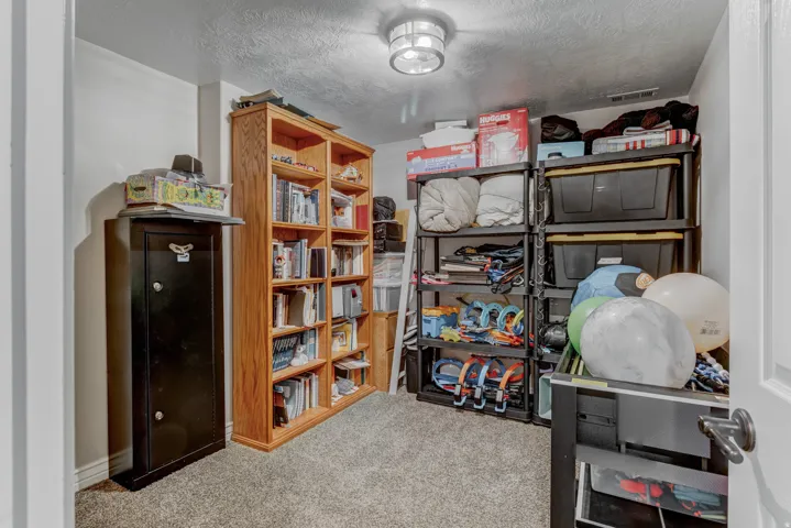 Carpeted room featuring a ceiling-mounted light fixture, built-in wooden shelving, and ample storage space