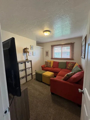 Carpeted room featuring a ceiling-mounted light fixture, window with blinds, and built-in closet