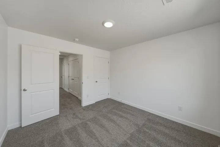 Neutral wall paint, gray carpet, flush-mount ceiling light, white paneled doors, and white trim