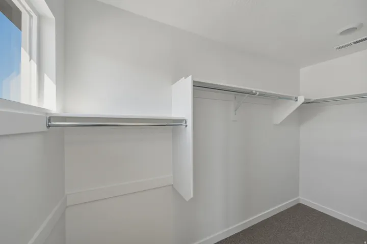 Walk-in closet with carpet flooring, white walls, built-in shelving, and hanging rods