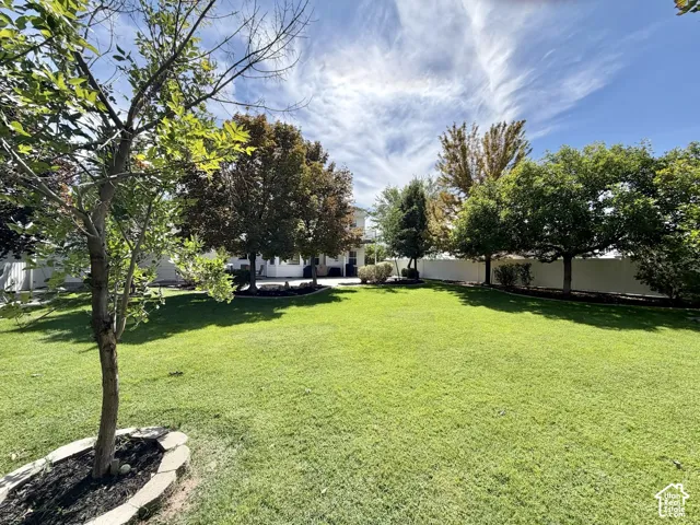 Expansive manicured lawn with mature shade trees and defined landscape borders, offering generous outdoor space with natural green surroundings and clear sightlines across the property grounds