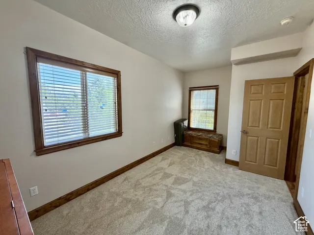 Neutral tone wall paint, textured ceiling, two windows with wood trim, light-colored carpet flooring, and a six-panel interior door