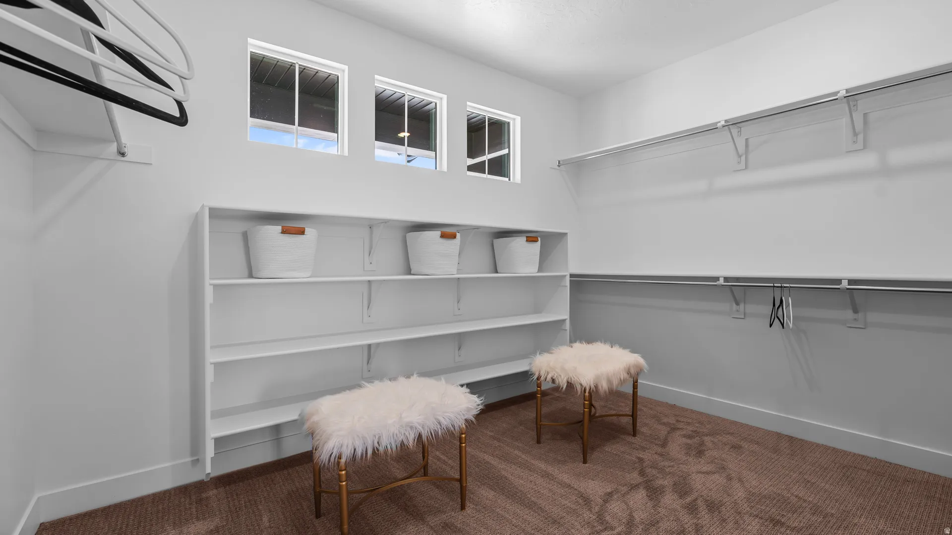 Built-in shelving, multiple hanging rods, three transom windows, and carpet flooring