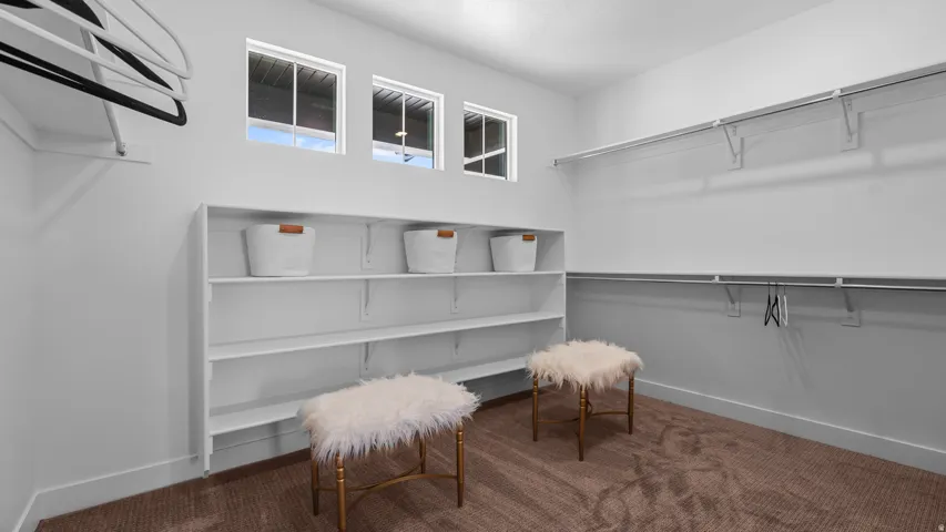 Built-in shelving, multiple hanging rods, three transom windows, and carpet flooring