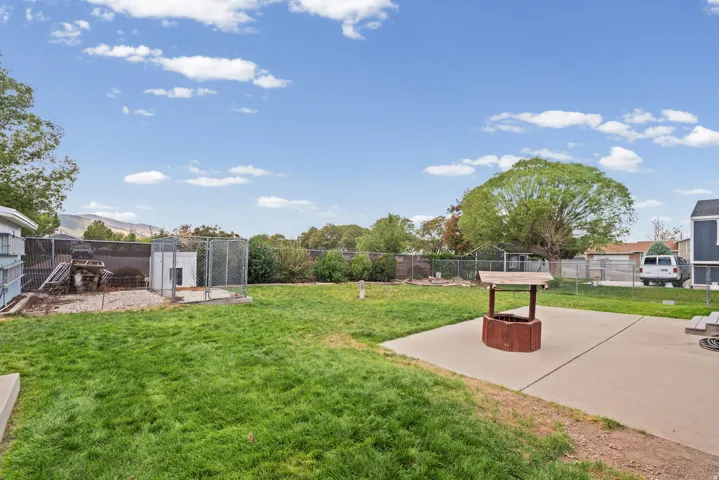 Expansive lawn area, concrete patio, chain link fencing, and a mature tree