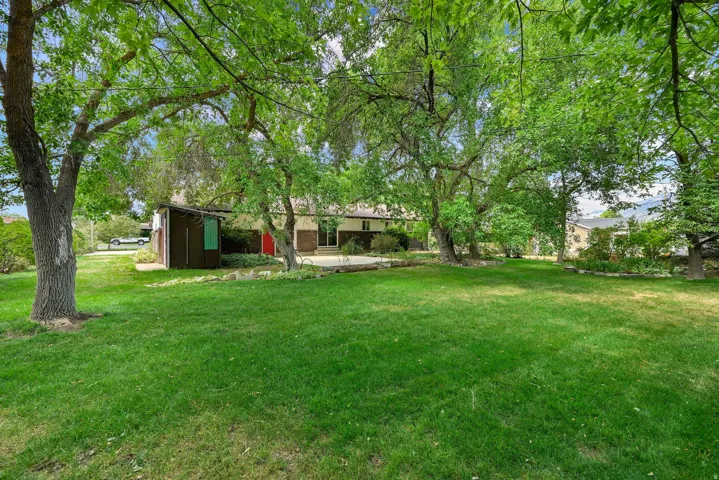 Expansive green lawn surrounded by mature trees, featuring a detached shed and a concrete patio