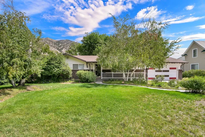 Expansive front lawn with mature trees and established landscaping