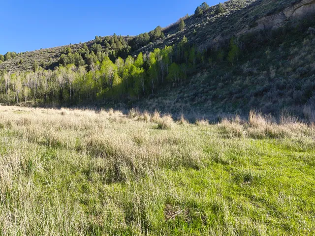 1290 Echo Rd, Coalville, Utah 84017