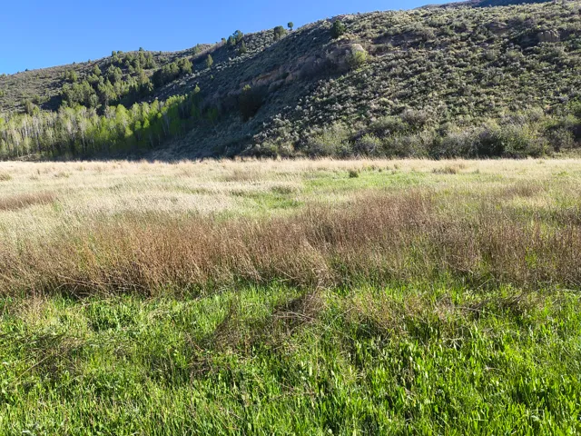 1290 Echo Rd, Coalville, Utah 84017
