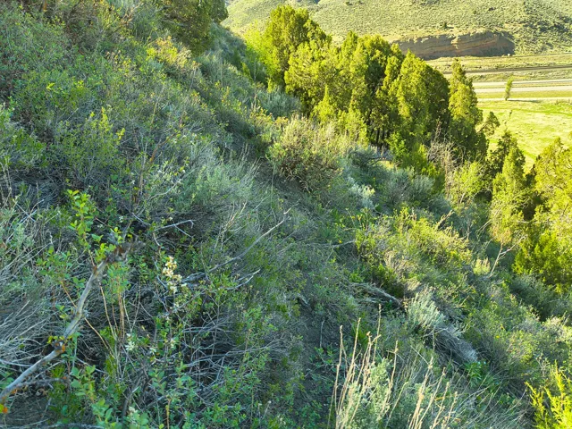 1290 Echo Rd, Coalville, Utah 84017