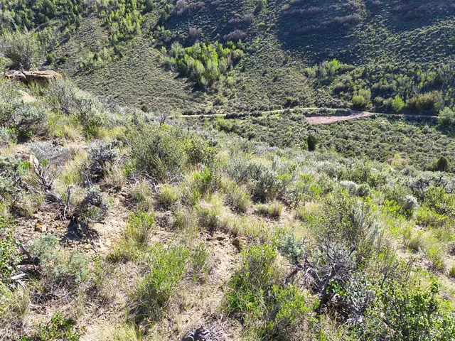 1290 Echo Rd, Coalville, Utah 84017