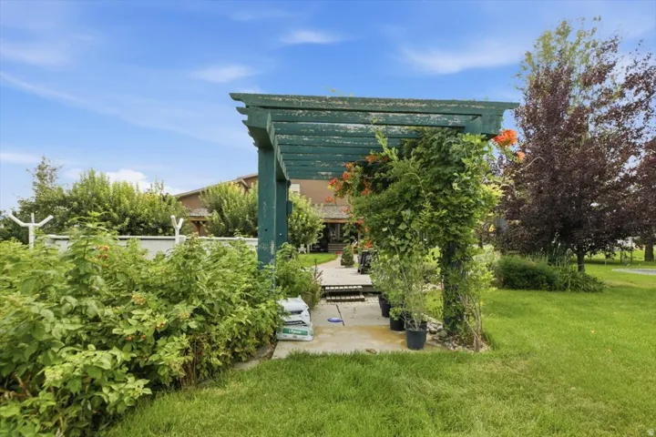 Green pergola structure, stone walkway, lush green lawn, mature trees
