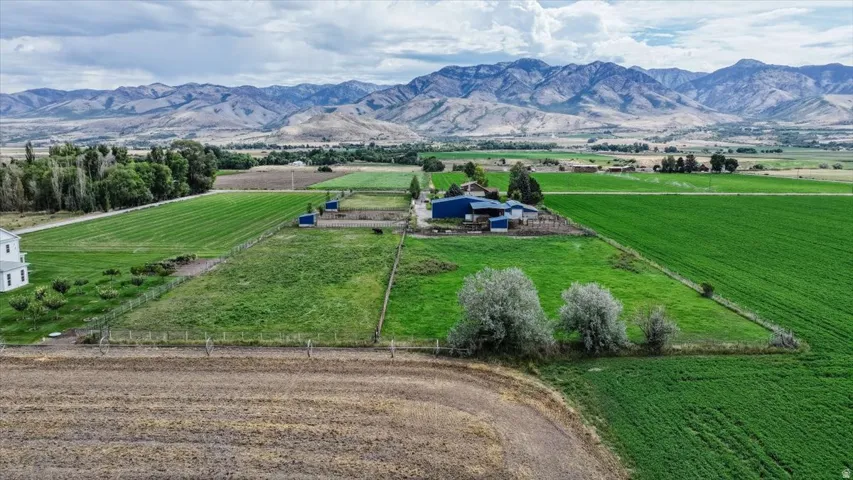 Expansive agricultural property featuring multiple cultivated fields with mature landscaping, including established olive trees and mixed vegetation