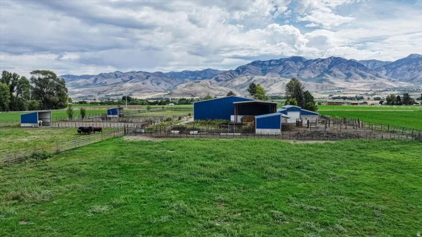 Extensive green acreage with multiple blue metal outbuildings, fenced enclosures, and a distant mountain range backdrop