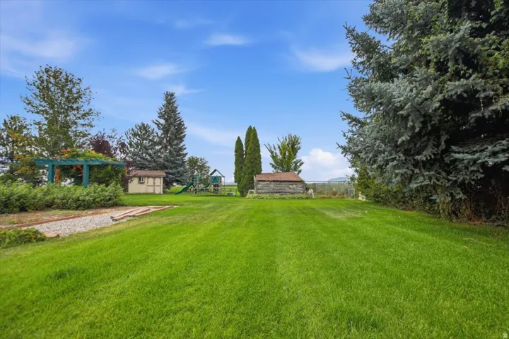 Expansive lawn with mature trees, two storage sheds, and a wood pergola