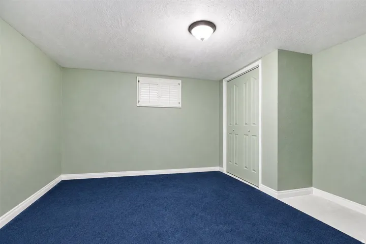 Finished basement room featuring neutral sage-green walls, crisp white trim and door frame, recessed ceiling lighting, and plush navy carpeting throughout