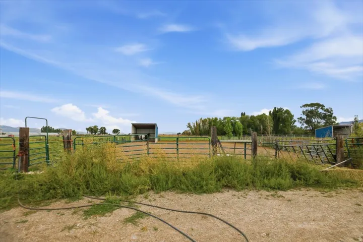 Enclosed animal pen with metal fencing, covered animal shelter, and distant mature trees
