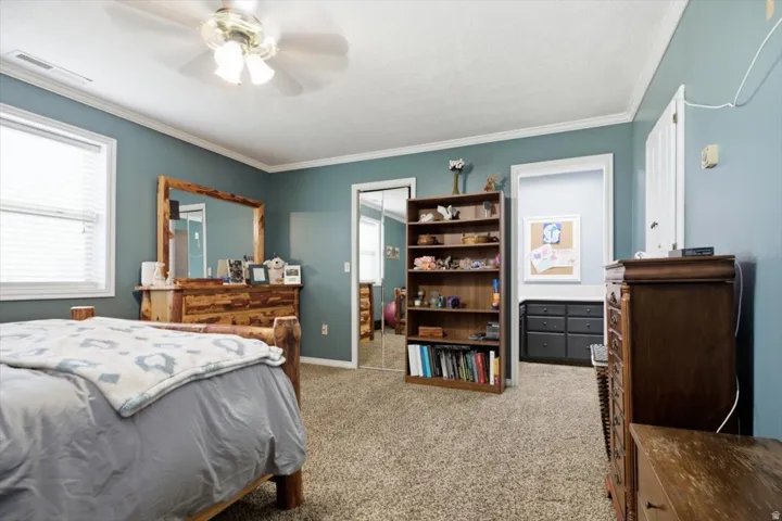 Textured carpeting, crown molding, ceiling fan with light fixture, window with blinds, and mirrored closet doors