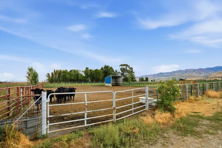Fenced paddock area with a blue-roofed shelter and expansive natural landscape