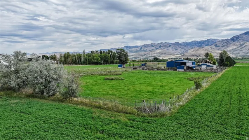 Expansive green fields with distant mountains, featuring multiple blue outbuildings and various trees