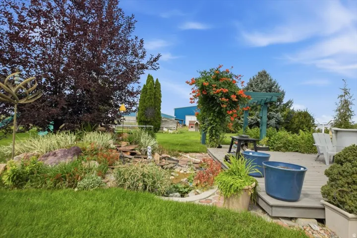 Expansive backyard featuring a manicured lawn, a built-in water feature with rock detailing, a wooden deck, and a pergola adorned with climbing foliage