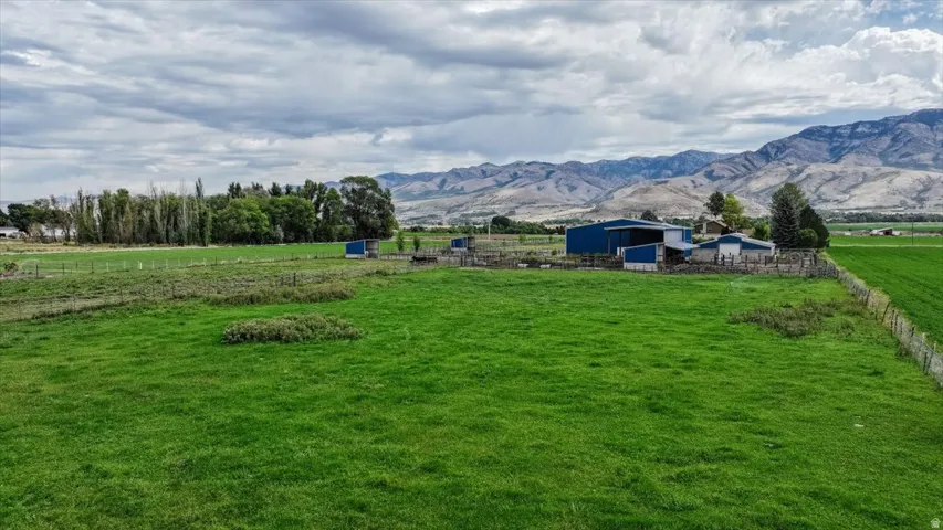 Expansive green fields with distant mountain scenery