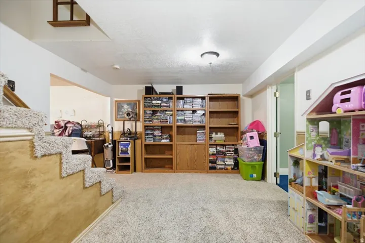 Carpeted flooring, built-in shelving, wall-mounted ceiling light fixture