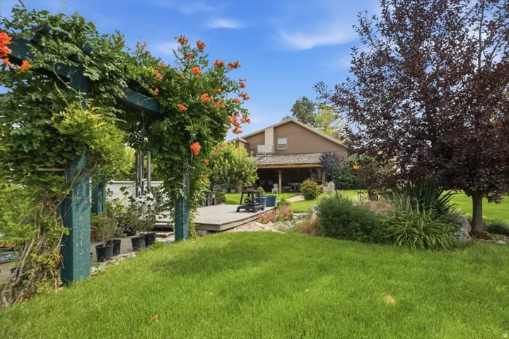 Expansive green lawn with mature trees and established landscaping