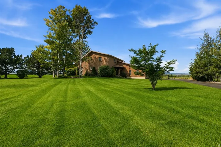 Expansive green lawn with mature trees and a paved driveway leading to a stucco-exterior residence