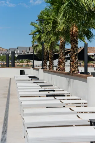 Resort-style pool area featuring a row of palm trees, modern light fixtures, and shade structures