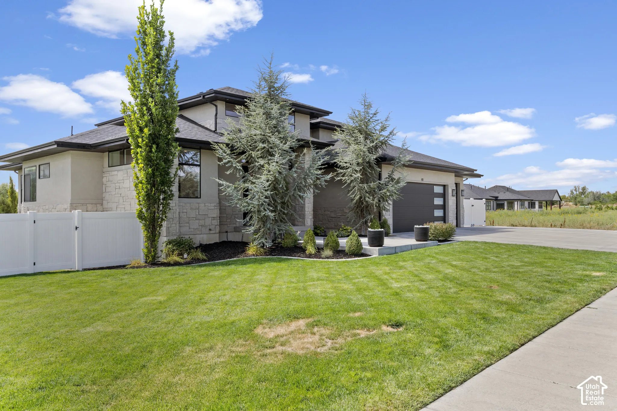 Modern residential home featuring a substantial manicured lawn with mature landscaping, including columnar evergreen trees and ornamental plantings