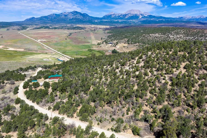Expansive property featuring a winding driveway, natural tree coverage, and a distant mountain backdrop