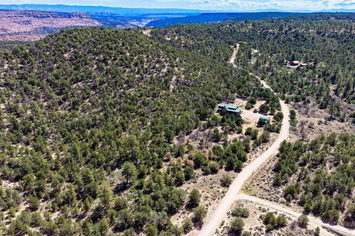 Expansive wooded landscape featuring a winding dirt road and residential structures