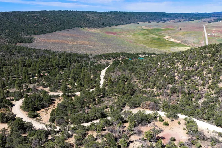 Expansive rural landscape featuring a winding unpaved road, dense tree cover, and distant open fields