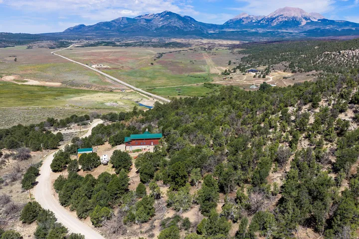 Mountain backdrop with a winding unpaved road, surrounded by extensive evergreen tree coverage