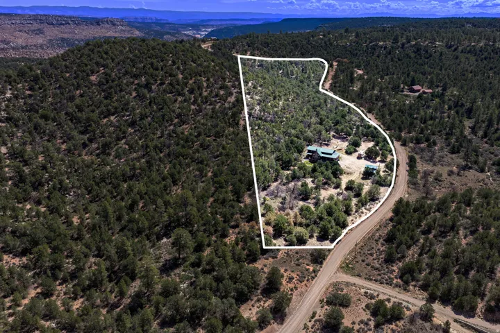 Expansive wooded lot featuring multiple structures and a private access road