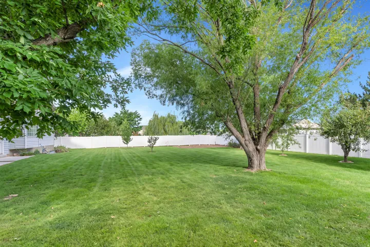 Expansive green lawn, mature shade trees, white privacy fencing, and additional young trees