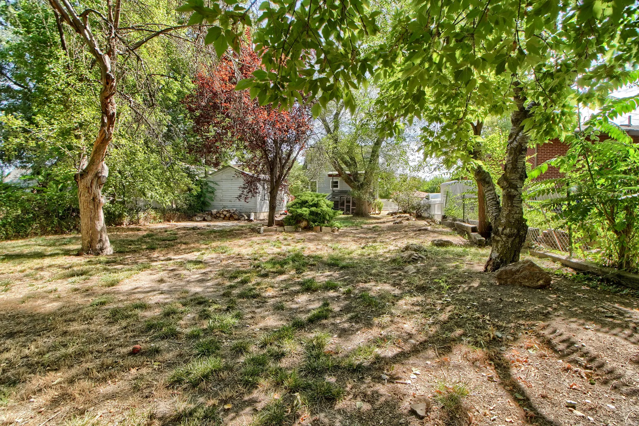 Expansive outdoor space featuring mature trees and a detached structure