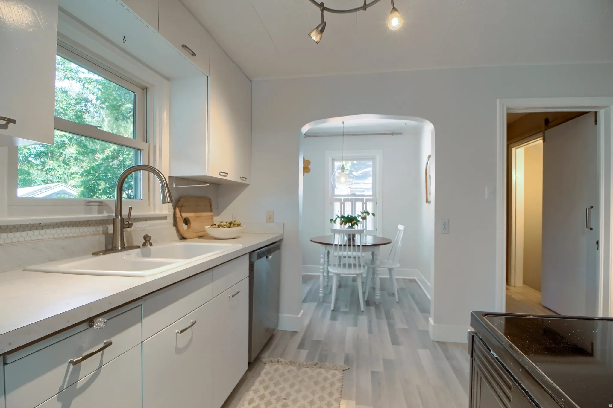 White cabinetry, undermount double-basin sink, stainless steel dishwasher, hexagonal tile backsplash, and wood-finish flooring