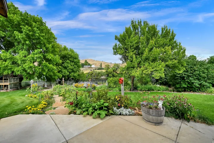 Expansive backyard featuring a concrete patio, stone pathway, mature trees, and landscaped garden beds