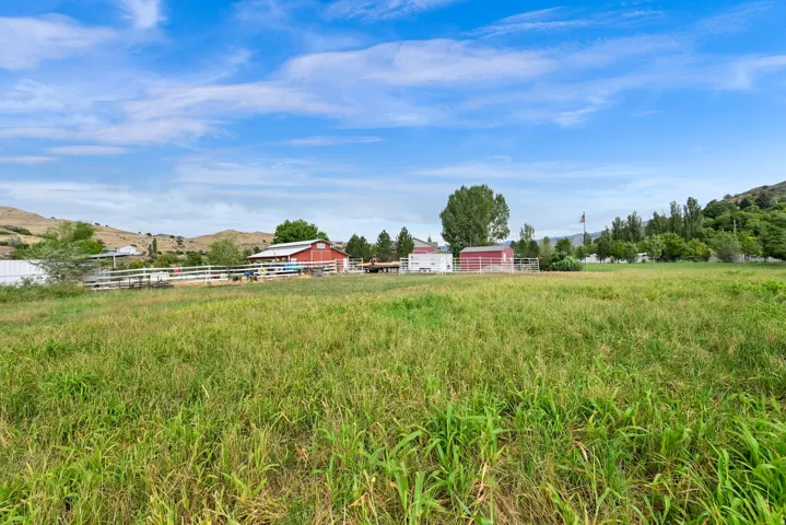 Expansive green pasture with distant red barn structures and white fencing