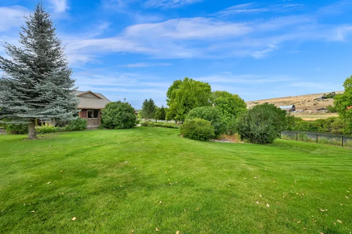 Expansive green lawn with mature trees and shrubs, bordered by a body of water and a metal fence, with distant rolling hills