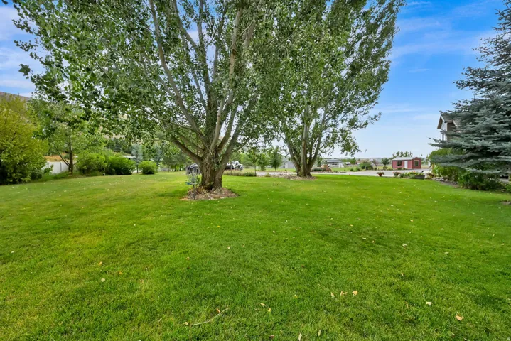 Expansive lawn area with mature trees and a distant red outbuilding