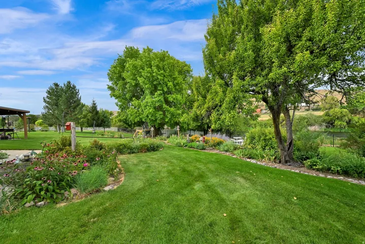 Expansive lawn area with mature trees and established garden beds